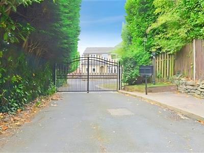 Picture 41